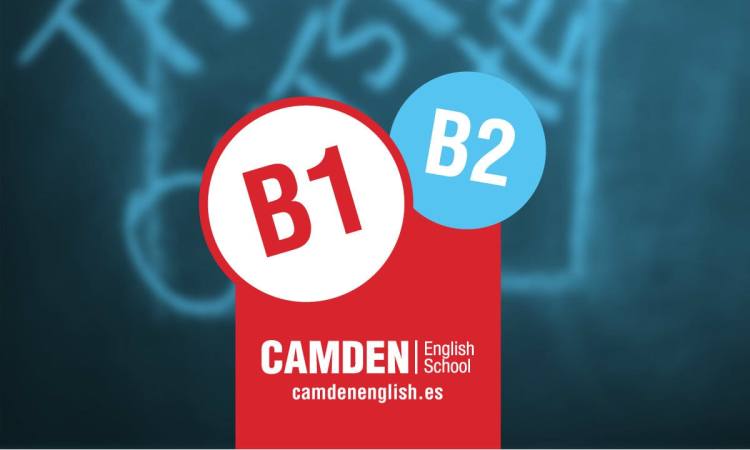 GENERADOR MEME 12 copiab