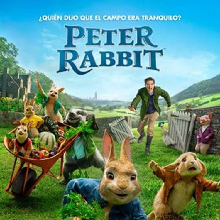 peter rabbit peter rabbit