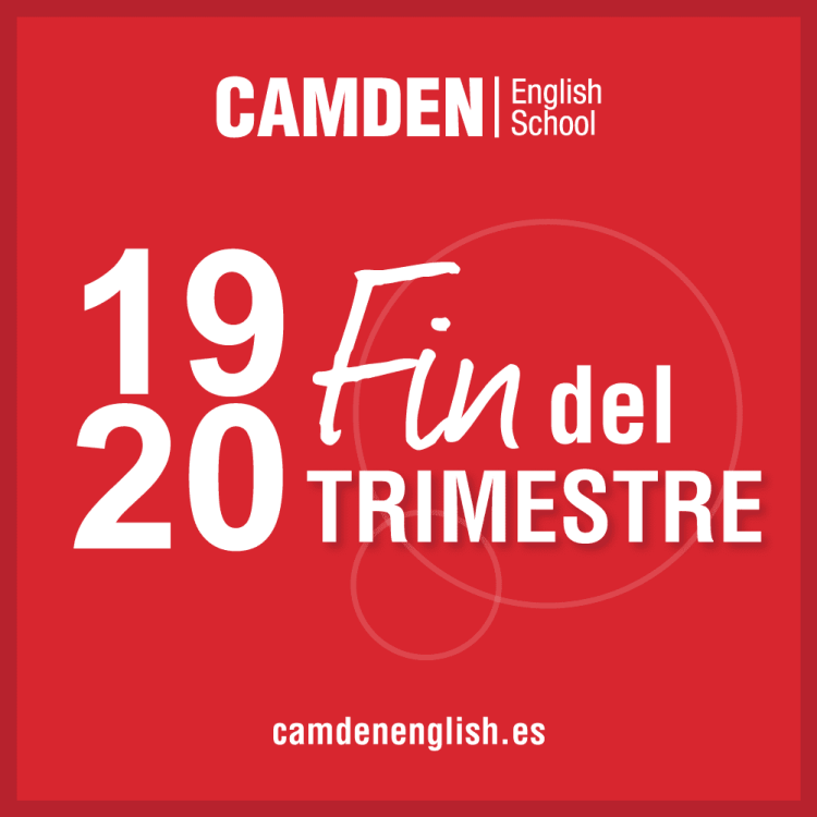 MEME 14 copia 8 MEME 14 copia 8