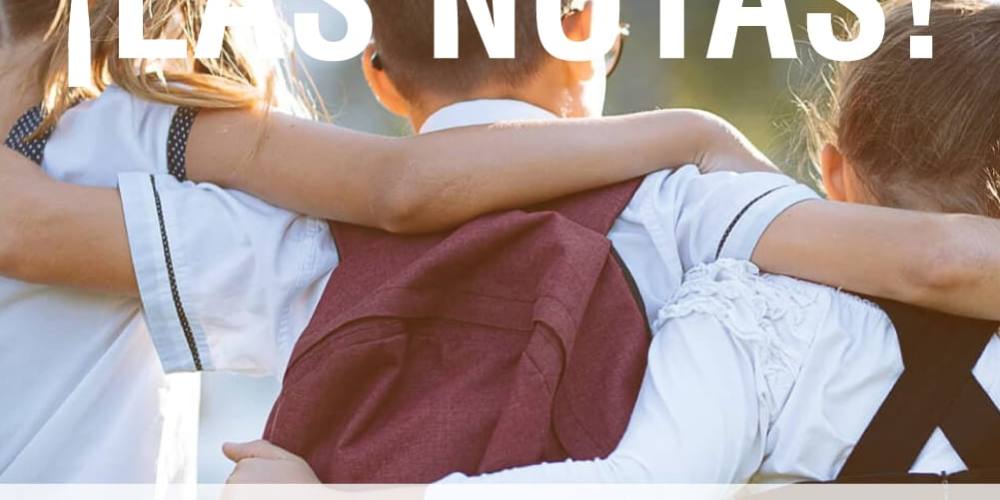 GENERADOR MEME 12 copia 2 GENERADOR MEME 12 copia 2