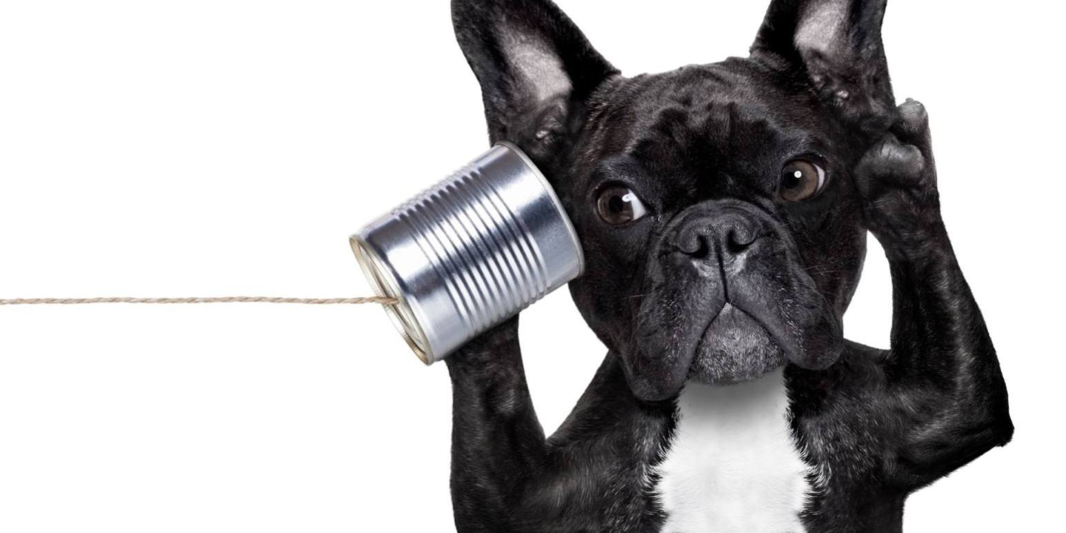 curiosidades sobre idiomas curiosidades sobre idiomas