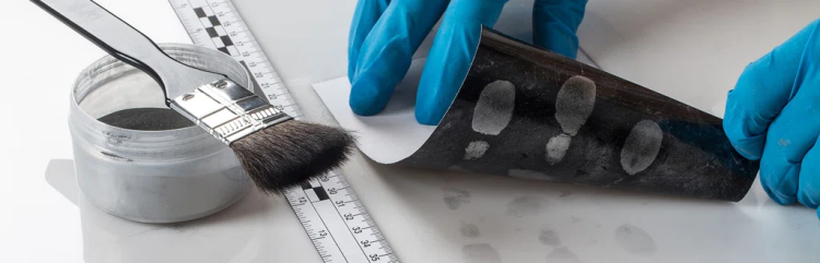 series de criminologia